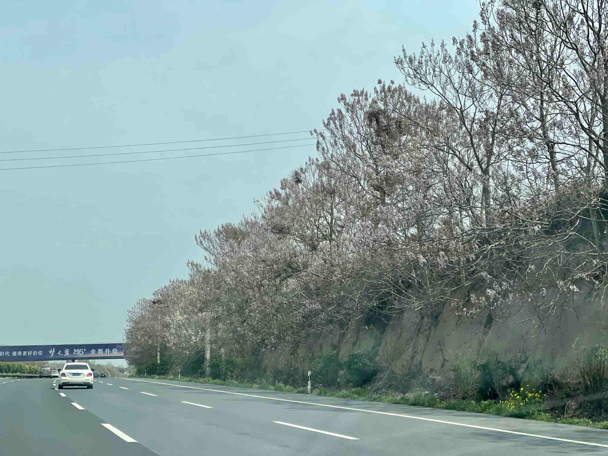 清明假期最后一天我省天气如何?还会“雨纷纷”吗?