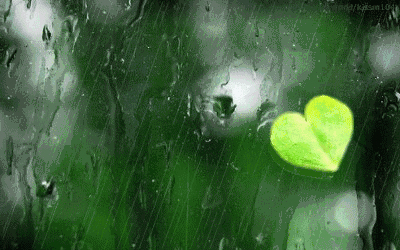 天气晴好,周日有雨