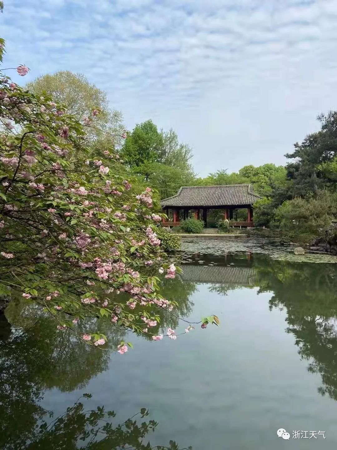 春无三日晴，明日这些地区中到大雨，还有一次降水在...