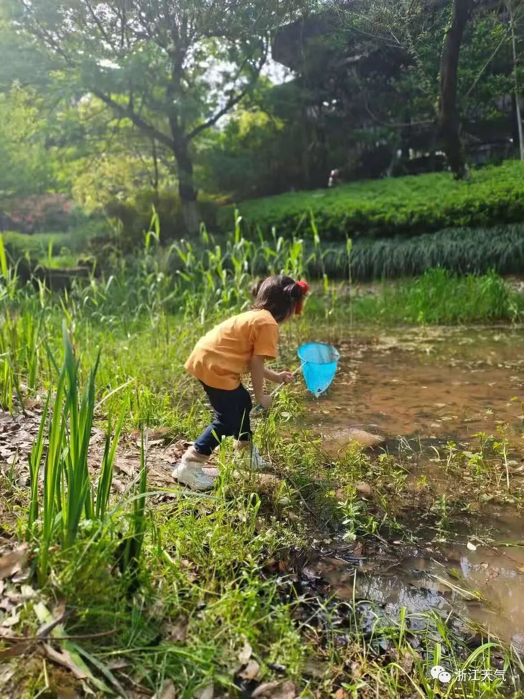 春无三日晴，明日这些地区中到大雨，还有一次降水在...