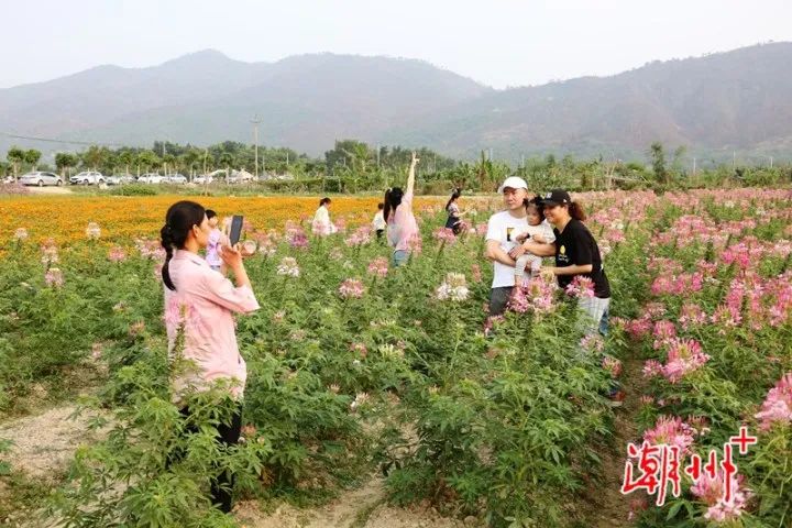 惊不惊喜,意不意外?冷空气还要来!而且是一波接一波,接下来潮州的天气…