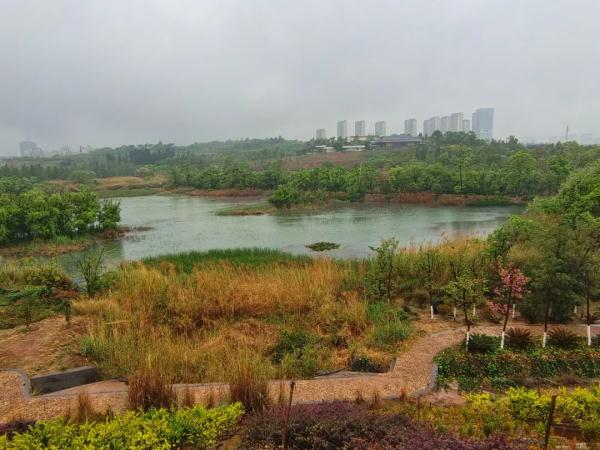 下雨天的昆明堵“红”了！从明天开始，天气是......