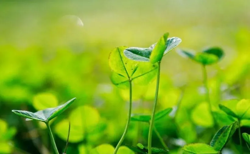 本周雨水稀少,气温震荡起伏!最新天气赶紧查收