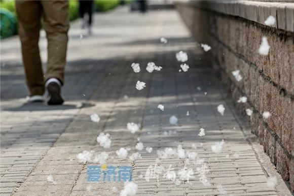 四月暖阳大放送!本周济南天气持续晴好 最高温22℃不下线