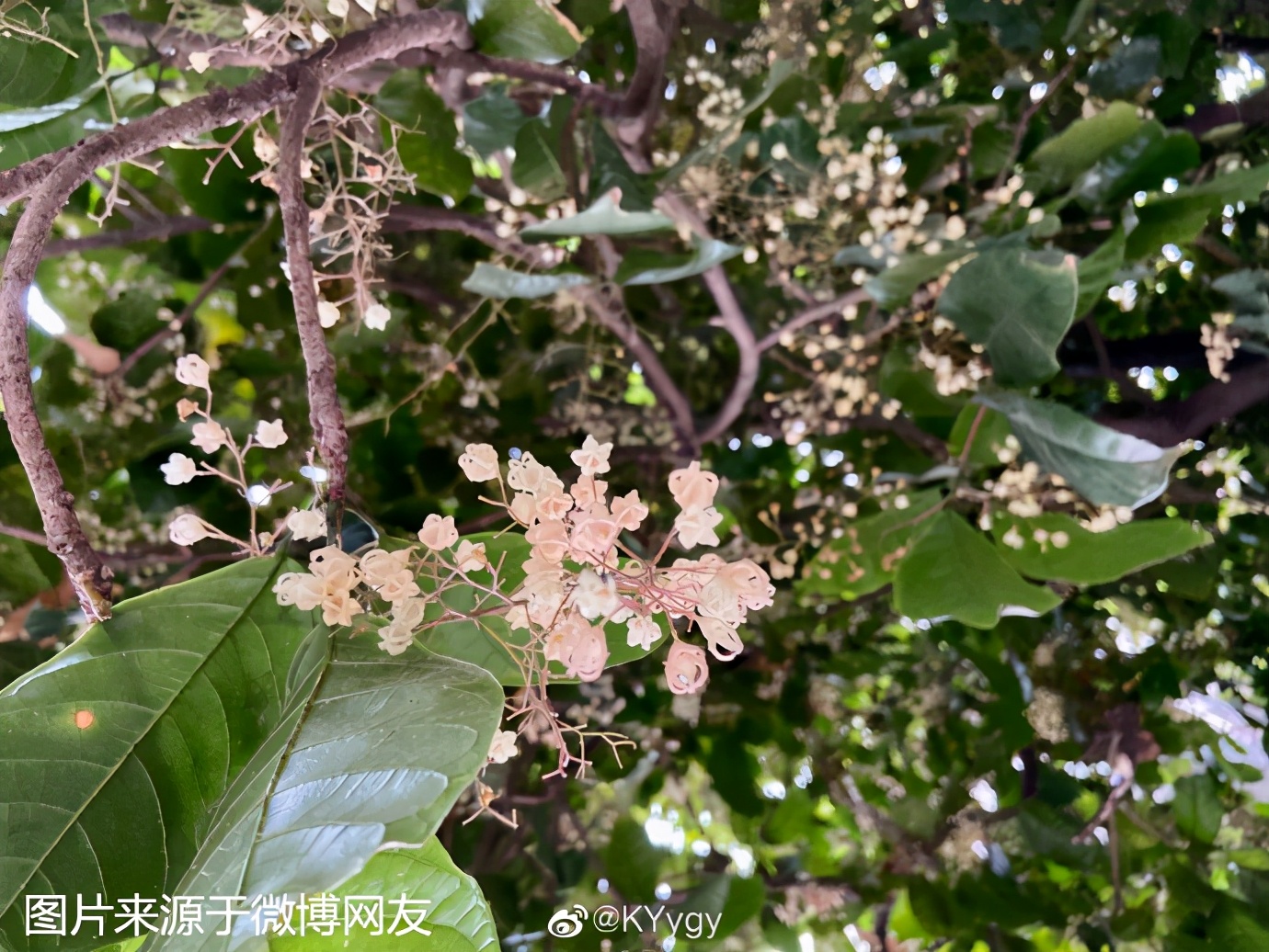 7日夜间到9日白天广东中西部有雷雨等强对流天气