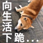 深圳多云，早晚有轻雾；