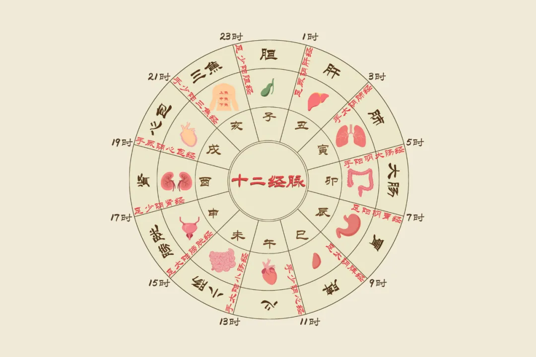 夜里这三个时间容易醒,身体出了什么问题?怎样调养?