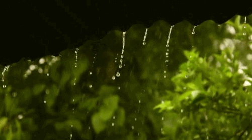 雨+降温!