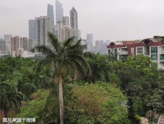 珠江三角洲市县有中到大