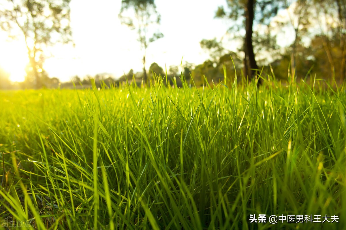 肝肾同源:养肝就是养肾,你了解多少?