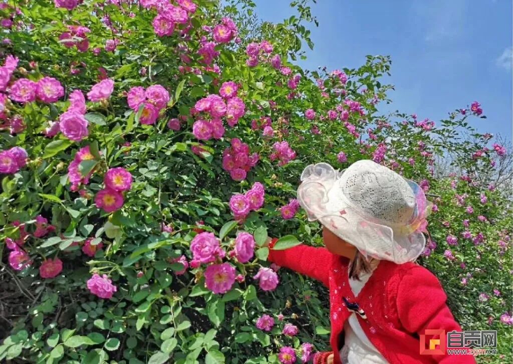 雨一直下?自贡发布最新天气预报