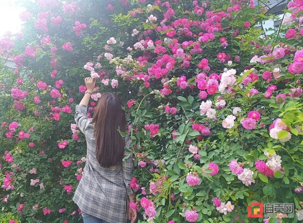 雨一直下?自贡发布最新天气预报
