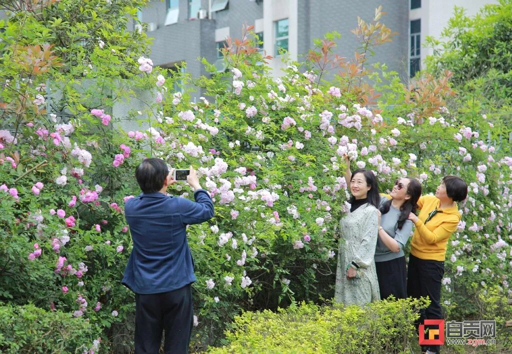 雨一直下?自贡发布最新天气预报