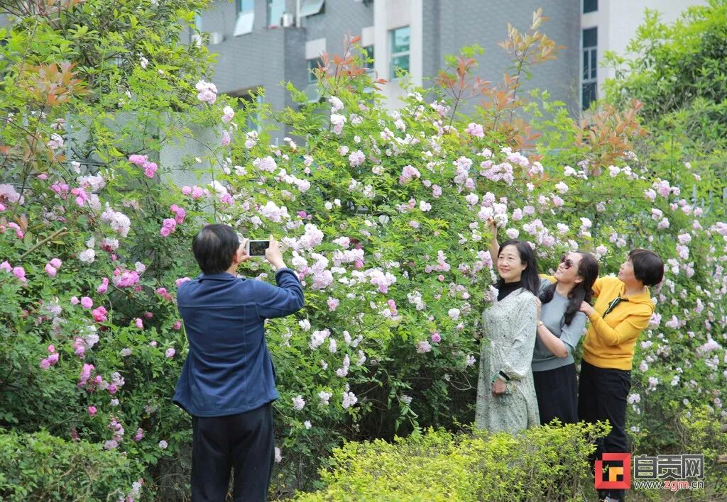 雨一直下？自贡发布最新天气预报