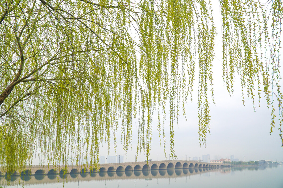 气温继续回升！本溪市区未来三天天气预报