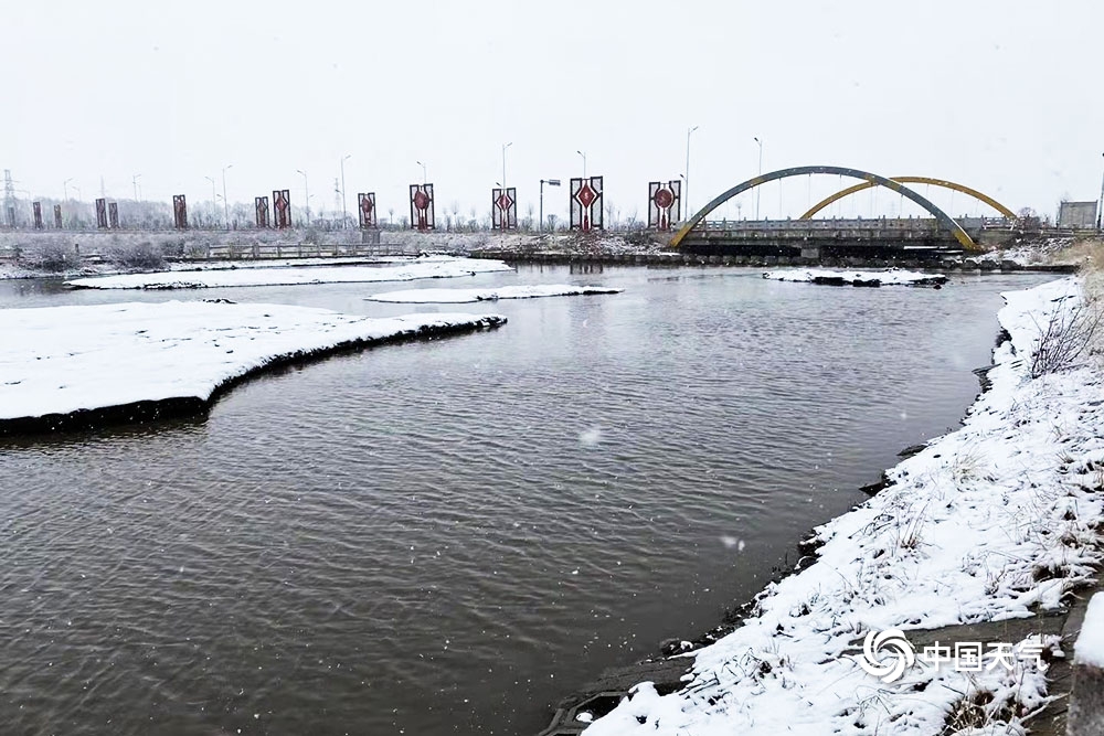 青海海北四月飞雪 牛羊漫步雪中金银滩草原