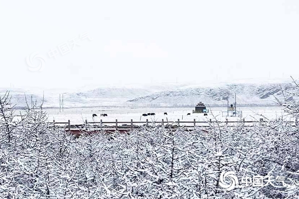 周末江南等地雨势强 北方现雨雪降温