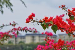未来三天全省大部市县气