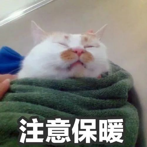 崩溃！厦门天气开始“过山车”！下周将迎雨雨雨？