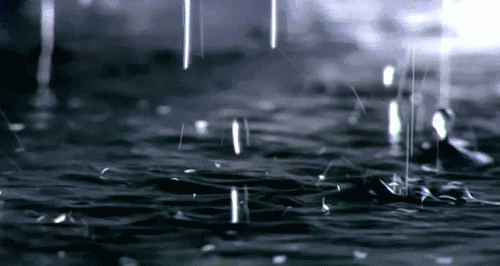 崩溃！厦门天气开始“过山车”！下周将迎雨雨雨？