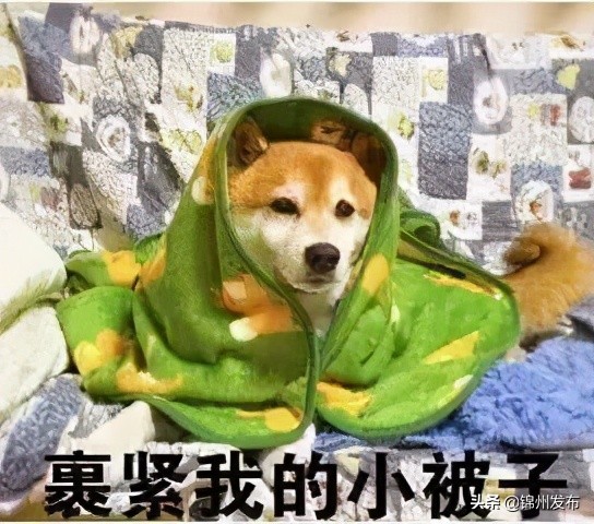 天气有变!锦州下周气温遭“当头棒”,还有两场雨…