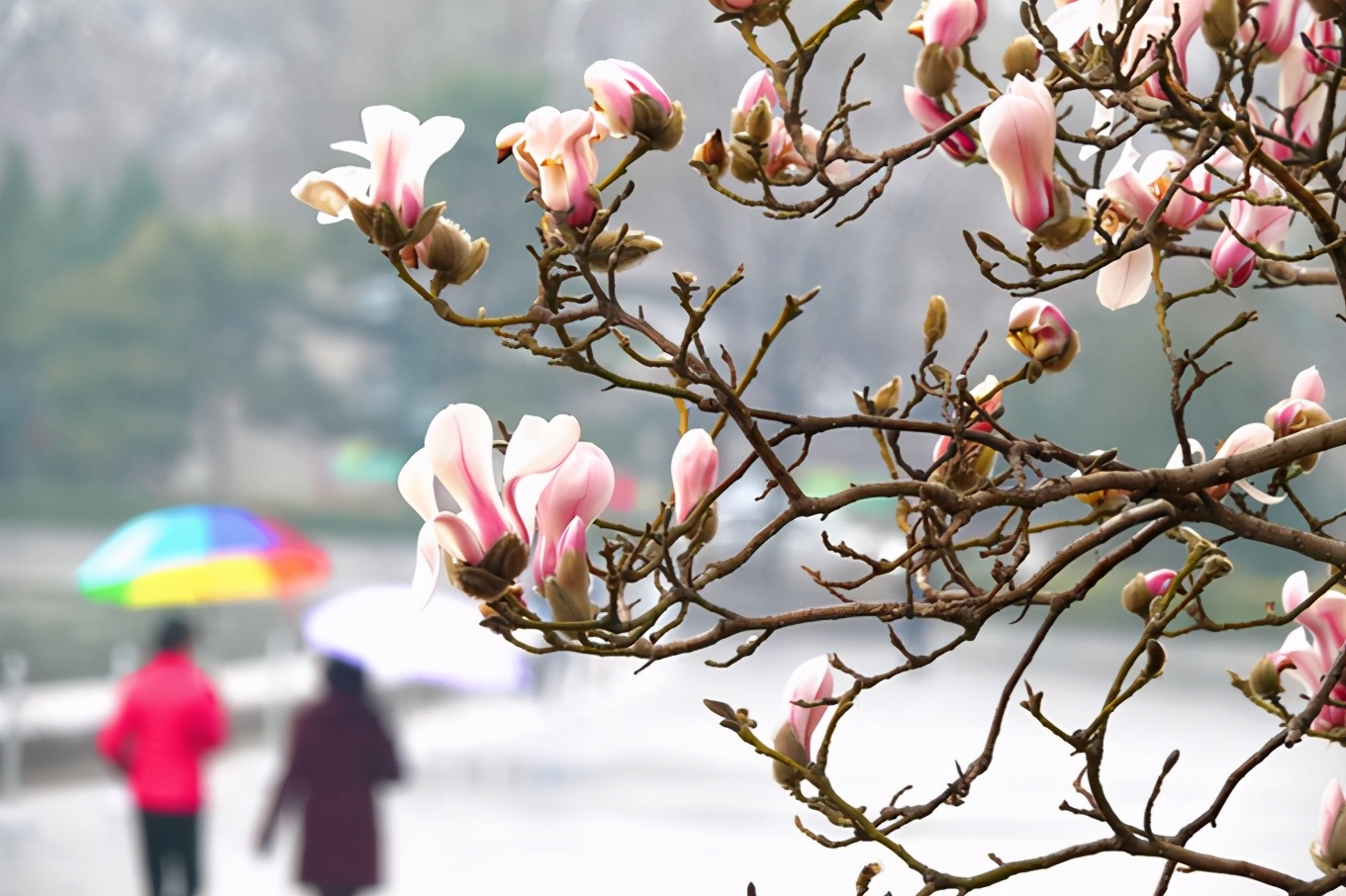 北京天气最新预报：明天最高气温17℃，后天暖意回归