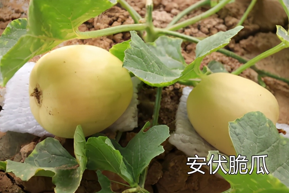 秦安今日天气