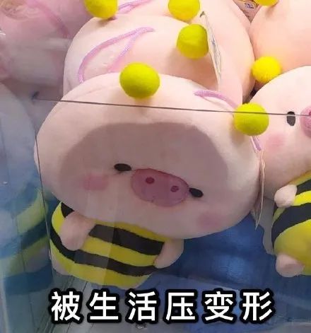 飙上33℃！厦门天气玩蹦极，冷空气今晚杀到！还有台风...