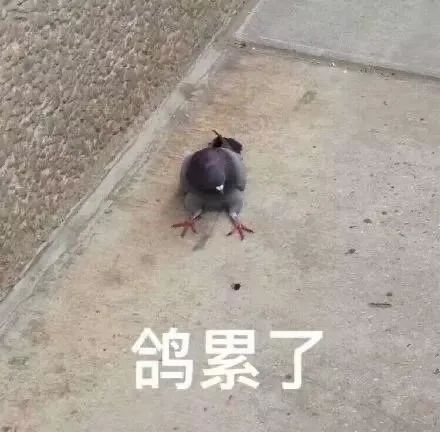 飙上33℃！厦门天气玩蹦极，冷空气今晚杀到！还有台风...