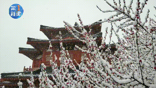 沈阳大降温!未来10天或迎三轮沙尘天气