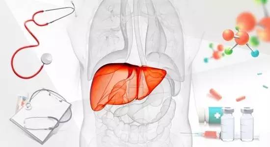 从西医角度了解肝脏功能，对养肝护肝相当重要，远离肝癌