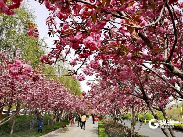 大风刮来好天气！升温持续到明天，最高气温27℃