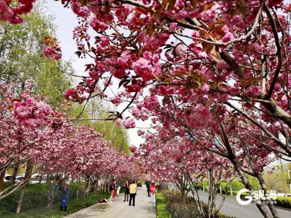 大风刮来好天气！升温持续到明天，最高气温27℃