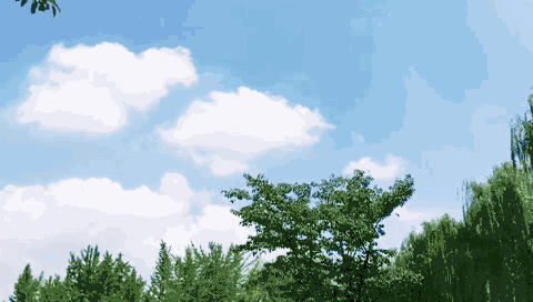 “五一”小长假义乌天气怎样?晴天or雨天?答案来了
