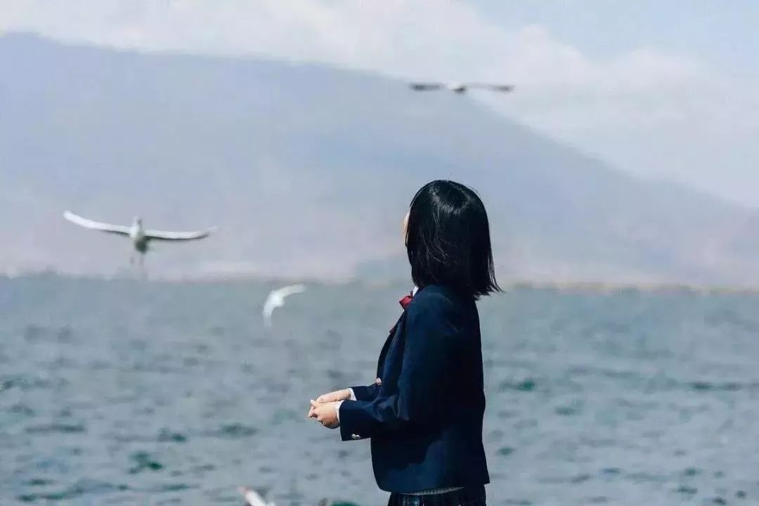 什么是文化,这是我听过最好的答案(百读不厌)