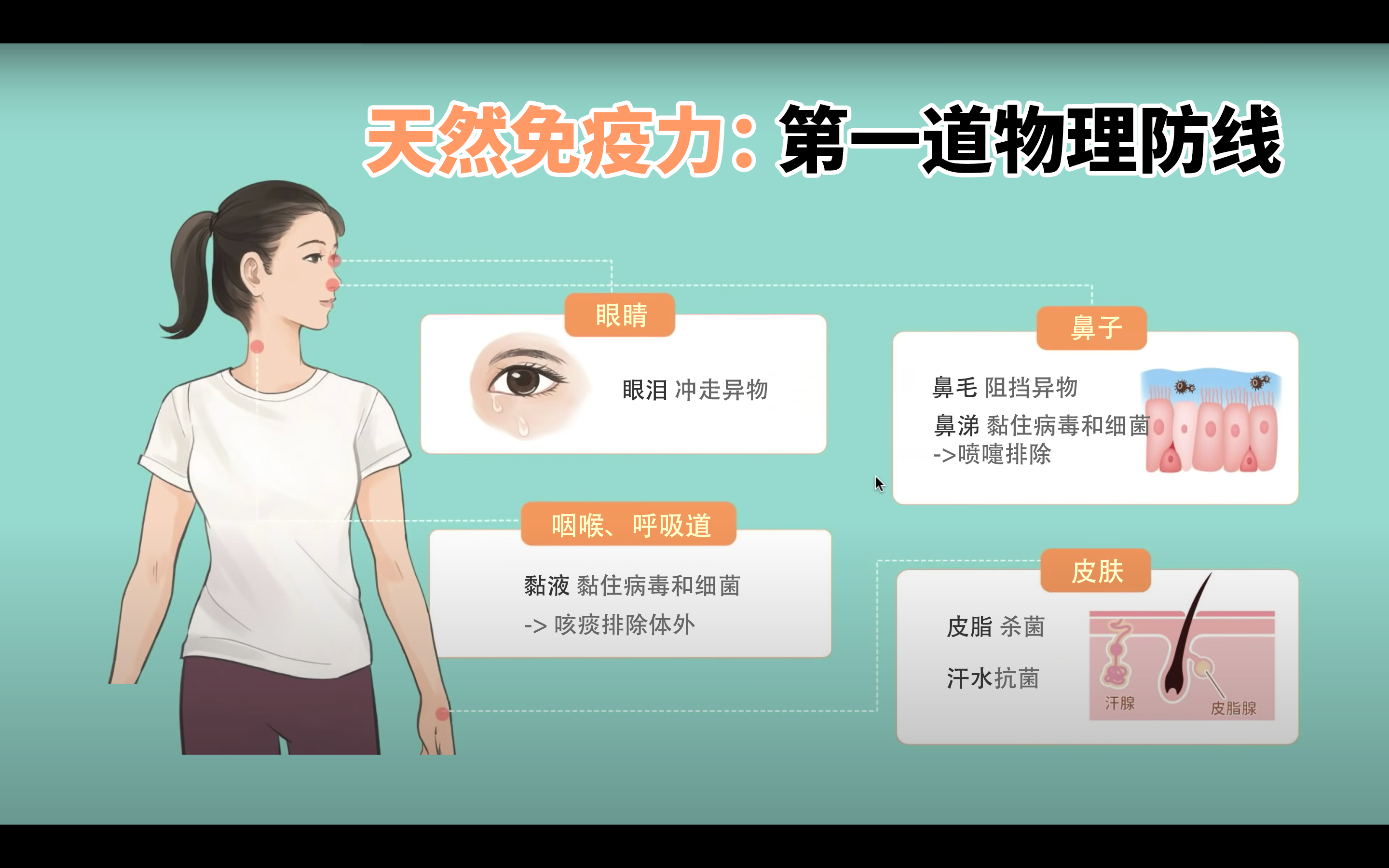 14d3a0673ea5e55878f4a52edca63b29.png