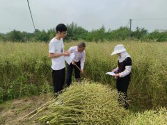 全国夏收夏种气象服务启