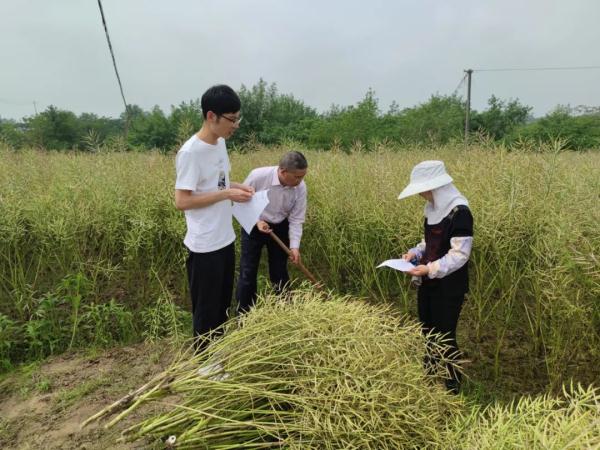 全国夏收夏种气象服务启动！大部时段天气条件有利