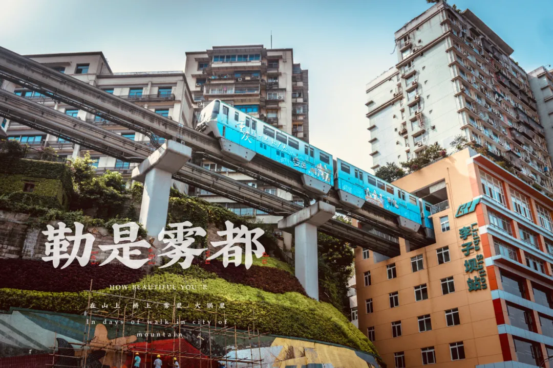 在重庆吃了一周,告诉你重庆人的一天都是怎么过的
