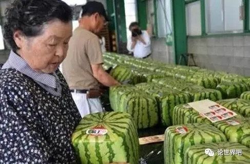 日本游客来中国旅游,买西瓜“遭拒绝”,老板:你拿我开玩笑吗?