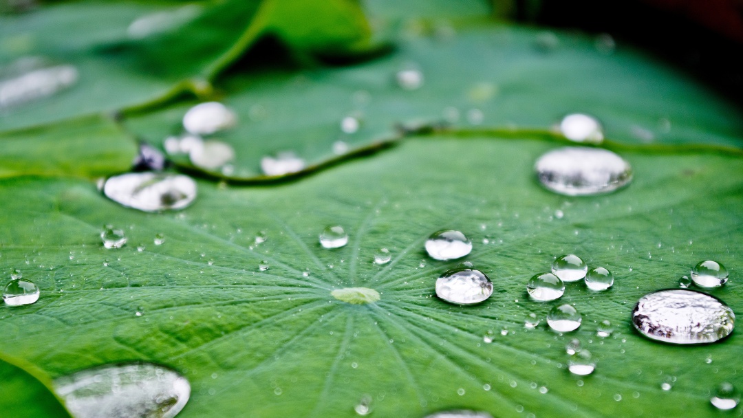天气早知道丨雨水频频,难道是“倒黄梅”?