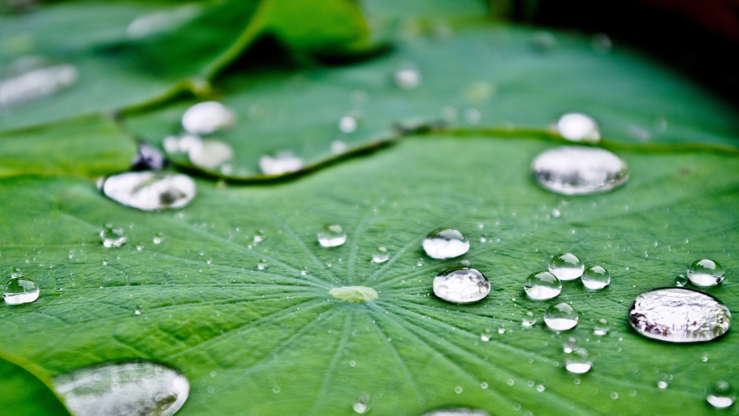 天气早知道丨雨水频频，难道是“倒黄梅”？