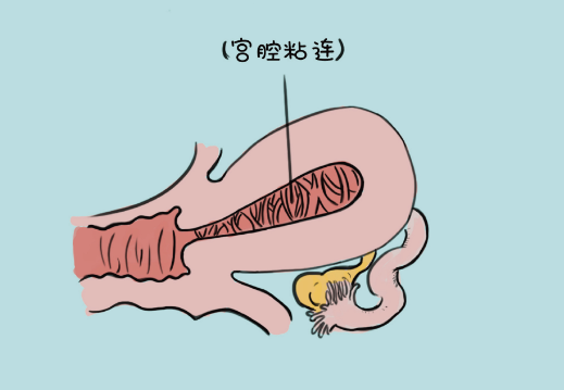 QQ图片20210817144349.png