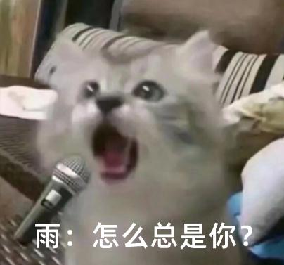 37℃!37℃!秋老虎凶猛!开学天气来了