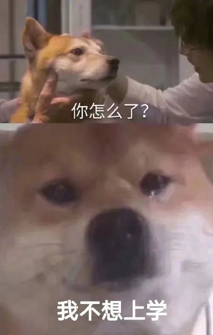37℃!37℃!秋老虎凶猛!开学天气来了