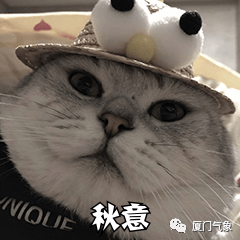 晴热持续多久?别慌!国庆的雨水即将带来一波强势降温