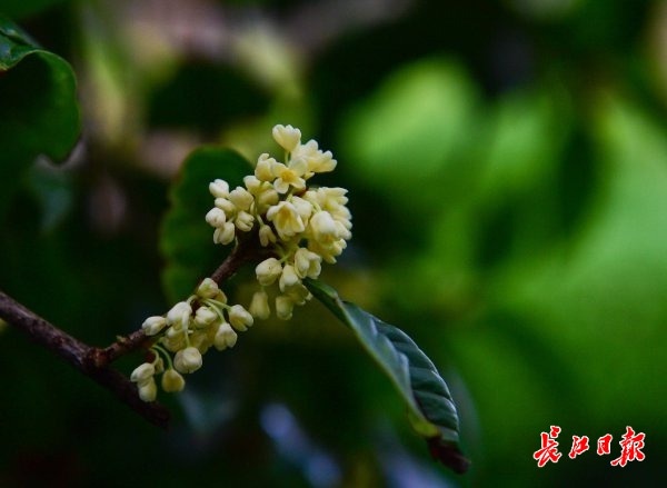 今晨最低温仅8℃,降雨、大风天气今晚就“撤离”