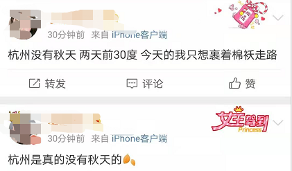 暴降12℃不够,冷空气还要来!杭州姑娘叹气:脱了短袖直接棉袄?明早这件事又要注意了...