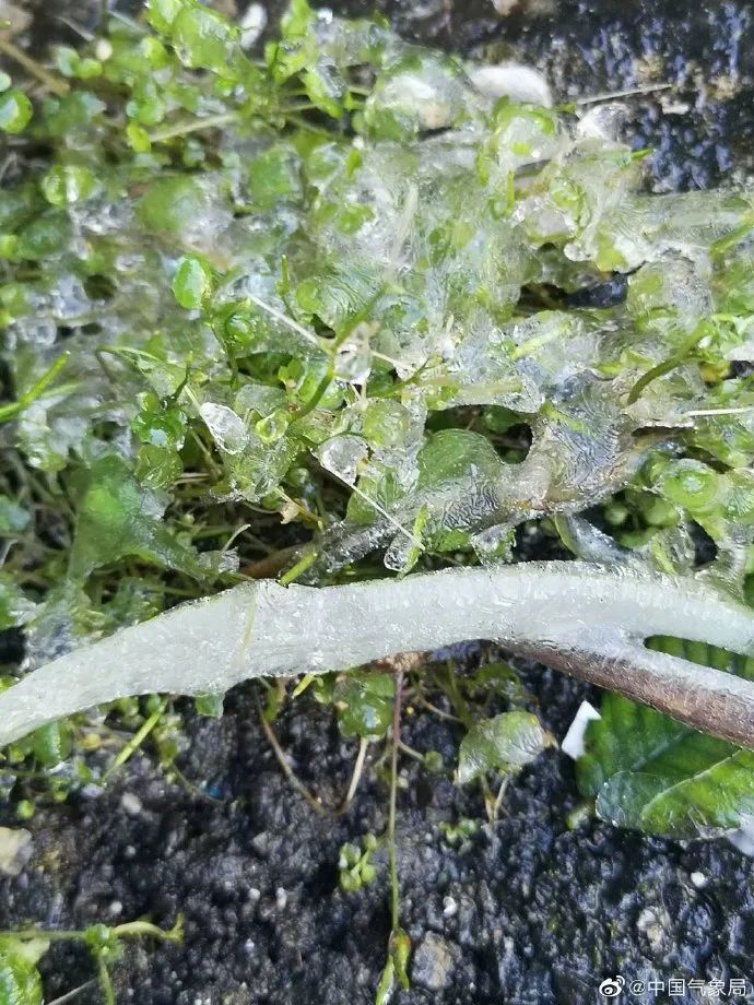 回暖还得等!新一股冷空气明天到货! |天气展望