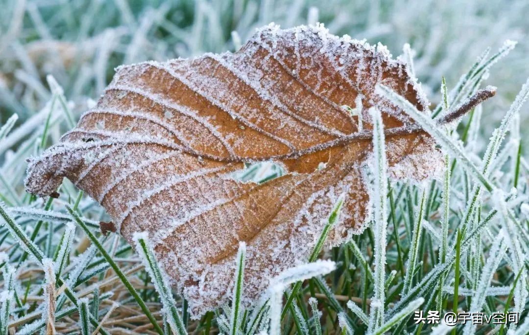 为什么今年的天气这么冷？各地大幅度降温，疑似拉尼娜现象出现